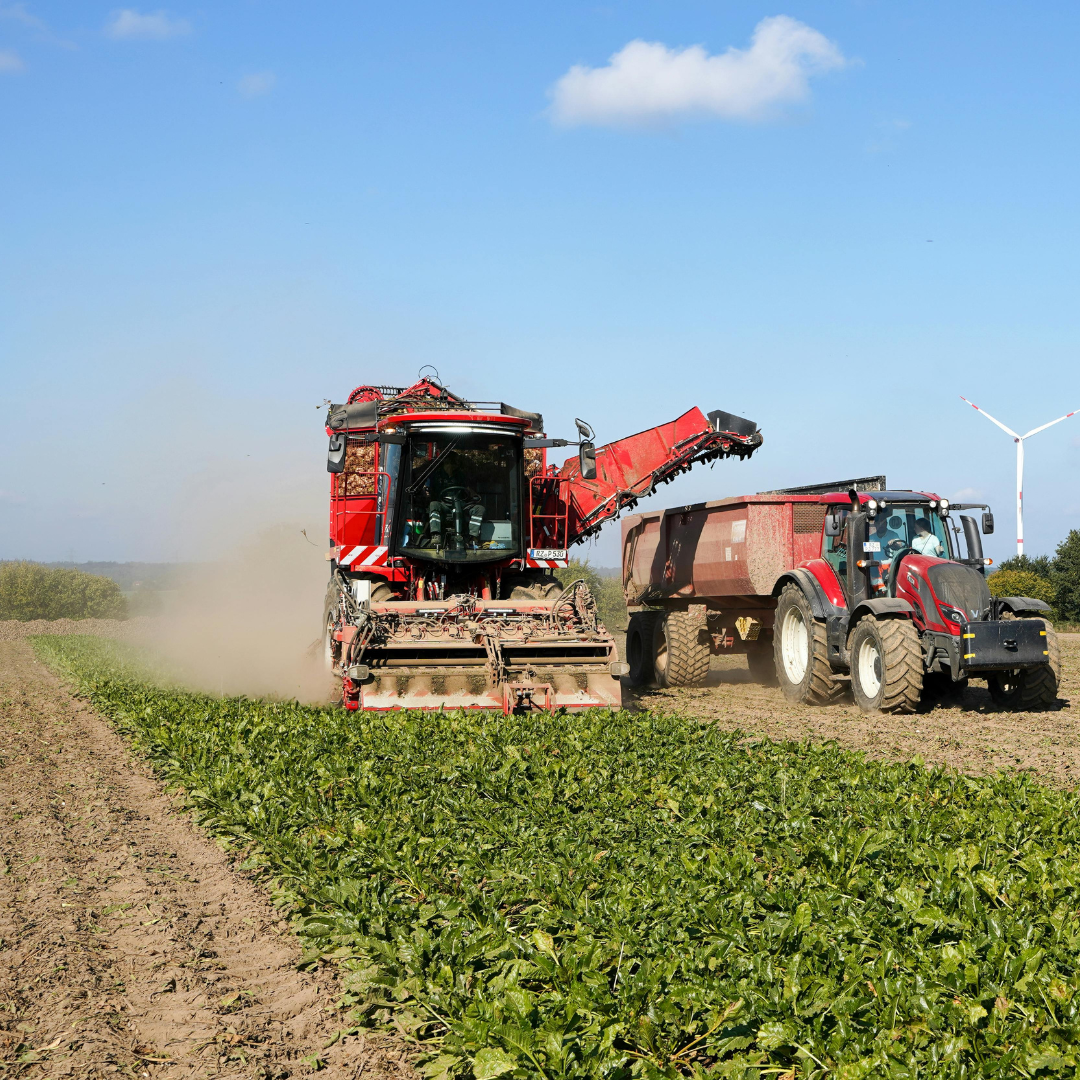 SRD13 Puglia 2026: agevolazioni per imprese agroalimentari